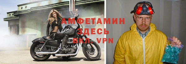 индика Богородск