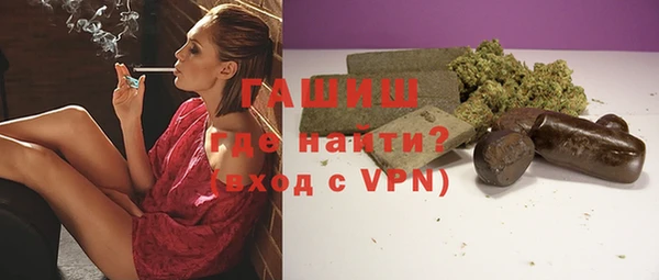 индика Богородск