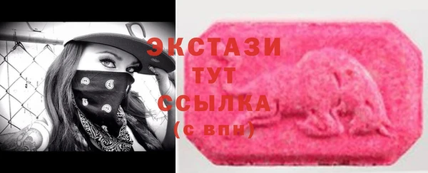индика Богородск