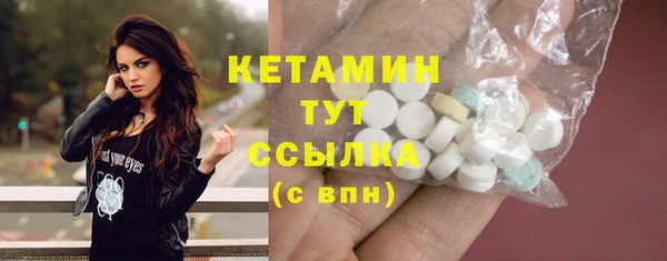 индика Богородск