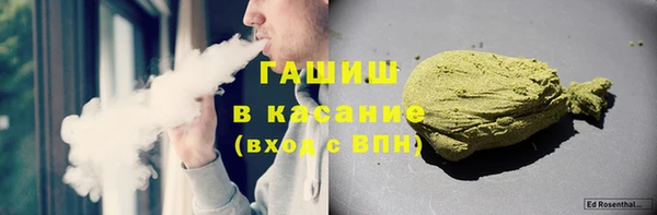 индика Богородск