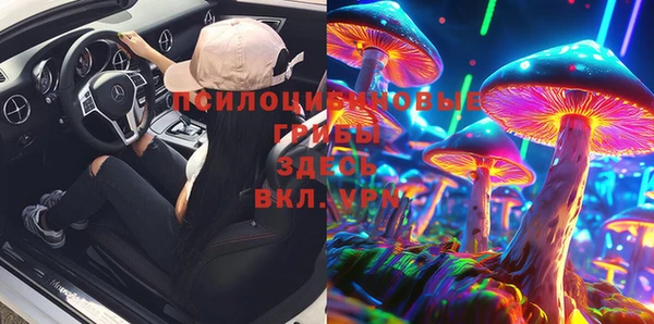 индика Богородск
