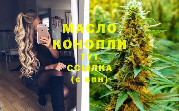 индика Богородск