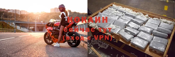индика Богородск