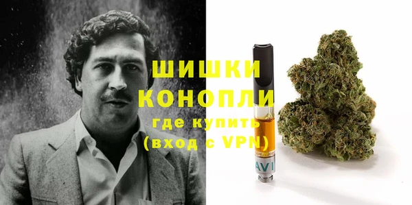 индика Богородск