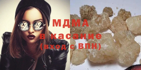 индика Богородск