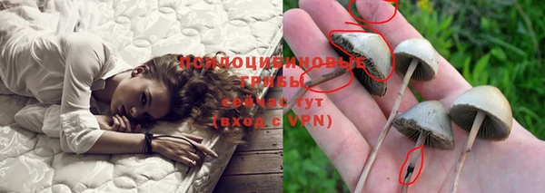 мескалин Протвино